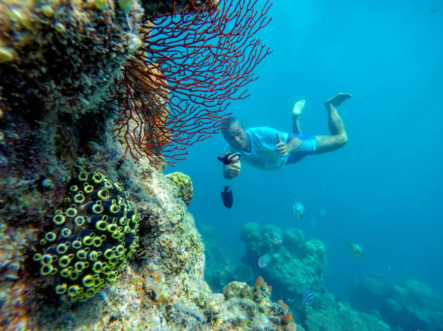 open trip wisata karimunjawa